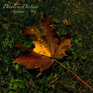 京香拍最火十部作品
